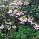 Gelateria Amici Miei